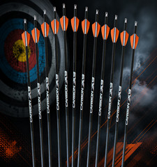 CARBON X9 300/ 350/400/ 500 spine Complete Arrow 6/ Half Dzn Fletched UN CUT