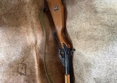 Vintage DAISY Model 99 Champion BB Gun (in excellent working condition)