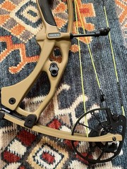 Hoyt Rx9 Ultra RH 40-50#