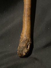 Victorian Burlesque Wood And Leather Riding Crop 19 In