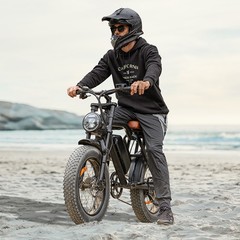 1500W ELECTRIC BIKE FOR ADULT 60MILE 33MPH 20» FAT TIRE OFF-ROAD MOUNTAIN EBIKE