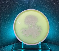 MVP Eclipse Watt Crypty Crawly 172g