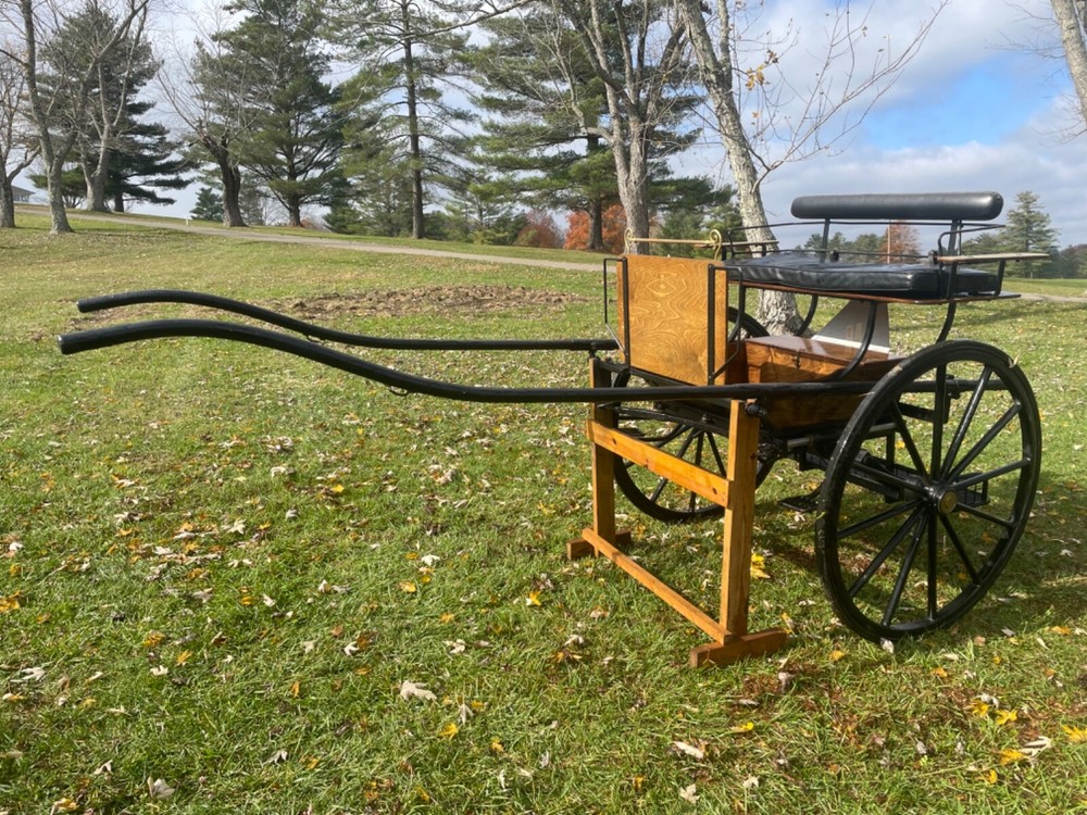 Imported Bennington 2 Two Wheel Horse Cart Carriage Driving Presentation Vehicle