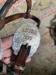 Vintage WOODs Sterling Trophy used western headstall BLING FREE SHIPPING