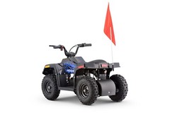 Kids Blue Electric ATV 4-Wheeler Quad 36V 500W Off-Road Mini Ride-On Vehicle