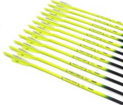 30-Inch Fluorescent Carbon Arrows for Target Practice & Hunting – Pack of 12