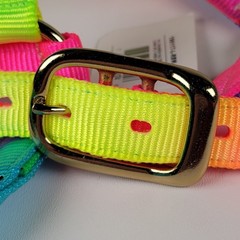 Formay brand rainbow-colored nylon horse halter designed 1200-1500 Lbs