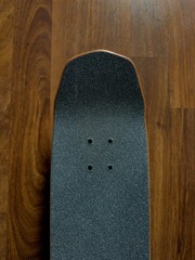 Welcome Skateboards Teddy Nora Vasconcellos Teal Factory Assembled