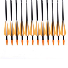 12Pcs 31″ Archery Fiberglass Arrows Spine 700 and Arrow Quiver Tube for Hunting