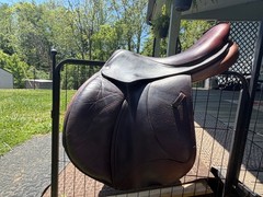 Voltaire Palm Beach Saddle 16.5 inch Full Buffalo Pro Panels 1A Flap