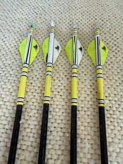 Victory Grizzly Stik Momentum TDT 320 Lot of 4 Arrows