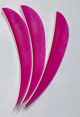 5″ New-50pack FREE SHIPPING! Right Wing Real Turkey Feather forArrows and Darts