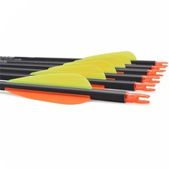 Carbon Arrow Hunting Arrows with 100 Grain Removable Tips 3 inch Streamlined …