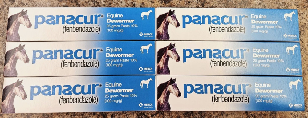Panacur Equine Paste Horse Dewormer 25 grams, 6 Tube Lot – New Fast Ship