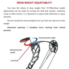 Compound Bow Arrow Set 19-70lbs Adjustable Adult Aluminum 320fps Archery Hunting