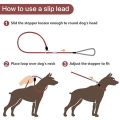 Strong Slip Rope Dog Training Leash (6ft) – Heavy Duty Durable Braided Nylon …