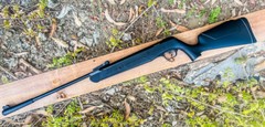Air Rifle 4.5 / 5.5mm Caliber Hunting Pellet Gun .177 / .22 Safety 500/600 FPS