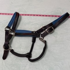 USED Black and Blue Padded Leather Horse Halter Large Size with Bling