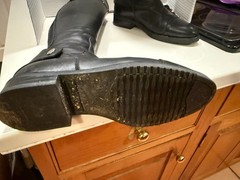 Enrice Romitelli Italian Dressage Riding Boots BLACK LADIES 38 BLING ZIPPERS