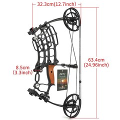 30-60lbs Compound Bow Kit Steel Ball Arrows Dual-use Archery Hunting Fish RH LH
