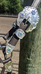 Silver Show Halter – Iridescent Stones – Dark Oil – Horse Size – Matching Lead