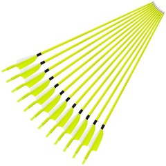 12X 30″ Archery Carbon Arrows Turkey Feather SP500 Recurve Bow Shooting Hunting