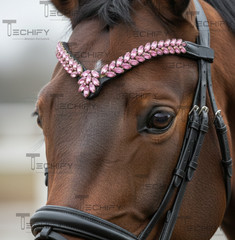 Black Leather Horse Browband Pink Crystal V Shape English Bridle Headstall