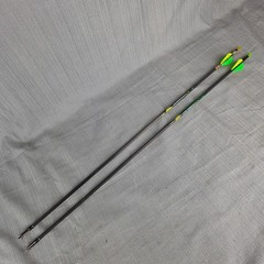 Wolverine Hunter Arrows 2pc 55-70 Carbon 29.5 in Grim Reaper Razortips (used)