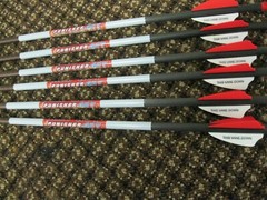 RED HOT Parker 20 in 337 grain arrow Punisher 427