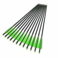 Hunting 20″ Carbon Arrows Crossbow Bolts OD 8.8MM 125 Grain Removable Tips Point