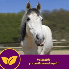 Farnam Red Cell Yucca Flavored Iron Mineral Rich Supplement For Horses 1 Gallon
