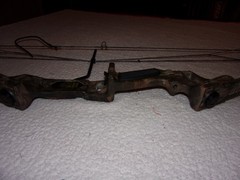 Martin Jaguar Compound Bow