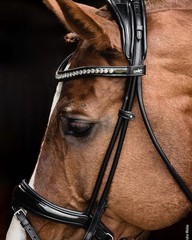 Schockemohle Crystal Bridle Westminster black/patent/silver | NO IMPORT FEES