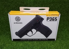 Sig Sauer P365 4.5 Cal BB Airgun Green / White Sights Metal Slide – AIR-P365-BB