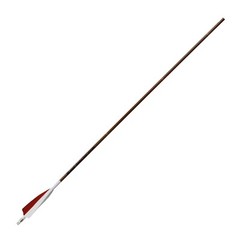 Victory Bamboo Trad Feather Fletched Arrows 400 Spine