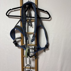 Petzl Adjama Harness, Evolv Shoes Mens 10, Organic Chalk Bag, Climbing Lot