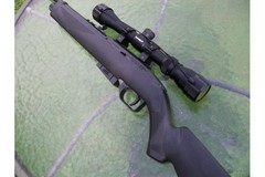 Crosman Lightweight, fun and accurate! .177