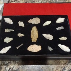 Stone Arrowhead Points Lot w/ Display Case, Multicolor – Hunting Archery