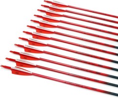 30-inch Fluorescence Carbon Arrows Pack of 12 for Hunting & Practice