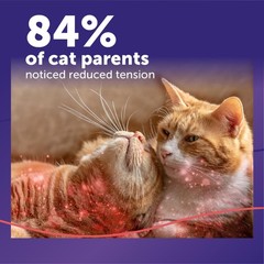 Feliway Multicat 30 Day Cat Calming Plug In Pheromone Diffuser Starter Kit –