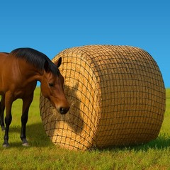 6×6 Ft Round Bale Hay Net for Horses – Knotless Slow Feeder Net with 2R