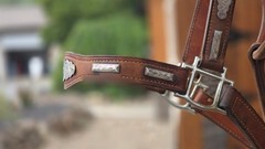 Vintage MacPherson Los Angeles Show Halter North & Judd Buckles Silver Overlay