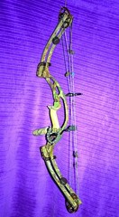 Hoyt XT2000 SuperTec RH Bow 60-70 LBS 29”DL *Perfect Condition!* + 28″ Cams