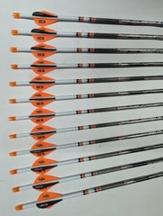 12-Easton Axis SPT Sport 400 5mm Carbon Arrows w/ Blazer Vanes & Steel Half-Outs