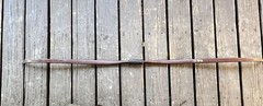 Bear Archery Brown Bear #45 Vintage Recurve Bow Brown 45lbs. 60in.