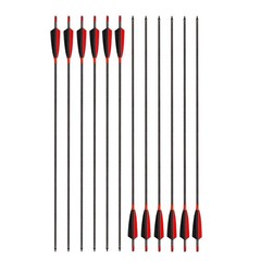 Archery Carbon Arrows 400 Spine with 4” Real Feather Fletching 100 Grain P