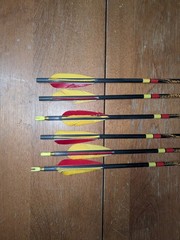 Gold Tip Ultralight / Entrada 500 Arrows Hunting Target Archery
