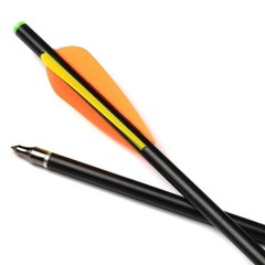 12Pcs 20in Crossbow Bolts Fiberglass Crossbow OD 8 mm Flat Nocks Archery Arrows