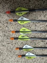 Mathews Mission Riot Compound Bow- RH 15-70 Pounds 19-30 Draw, Case, and Arrows