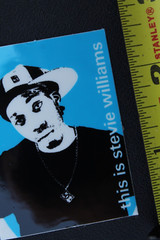411 Video Magazine This Is Stevie Williams DGK BP3 Vintage Skateboarding STICKER